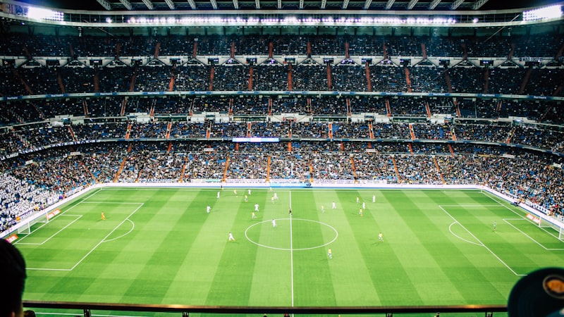 世界杯小组赛C组球队入场仪式直播